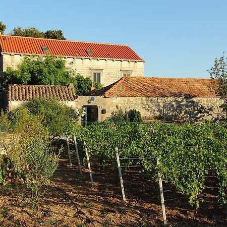 Villa Violic Zaton  Luaran gambar